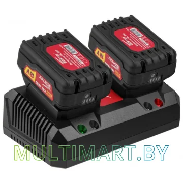 Зарядное устройство Wortex FC 2120-2 ALL1 (18В) картинка 3
